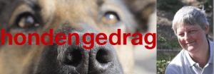 Hondengedrag_-37--300x105